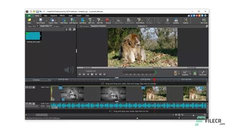 VideoPad Professional 2025 Download Options
